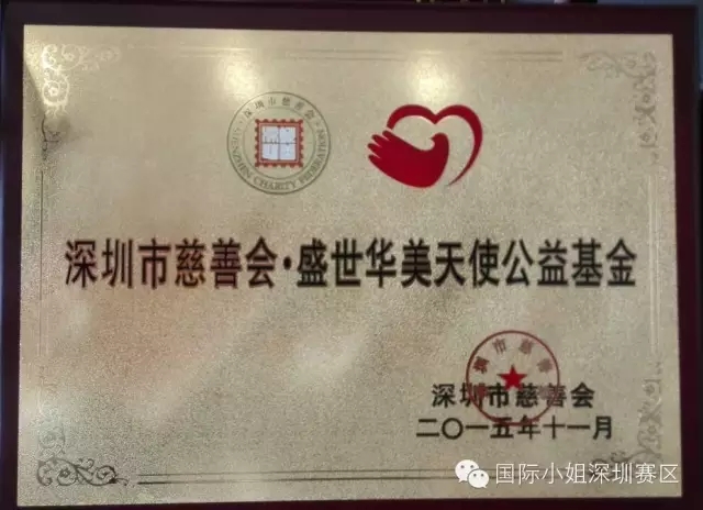 盛世華美天使公益基金 盛世華美天使公益基金